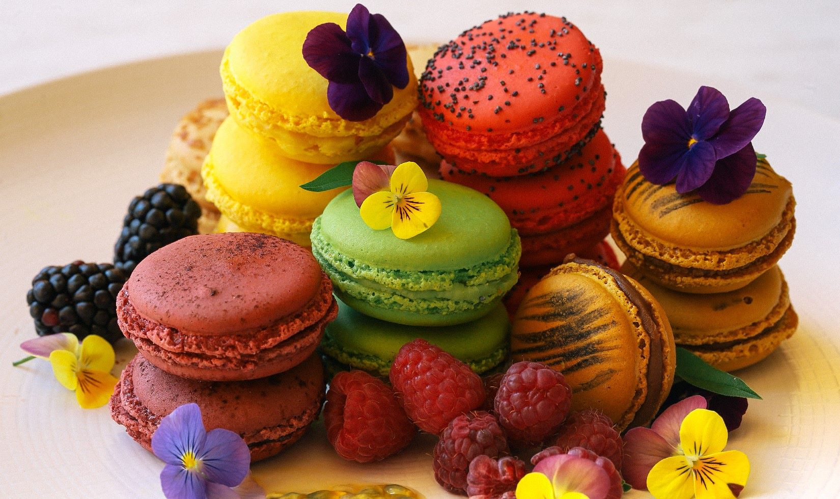 french-macarons-recipe