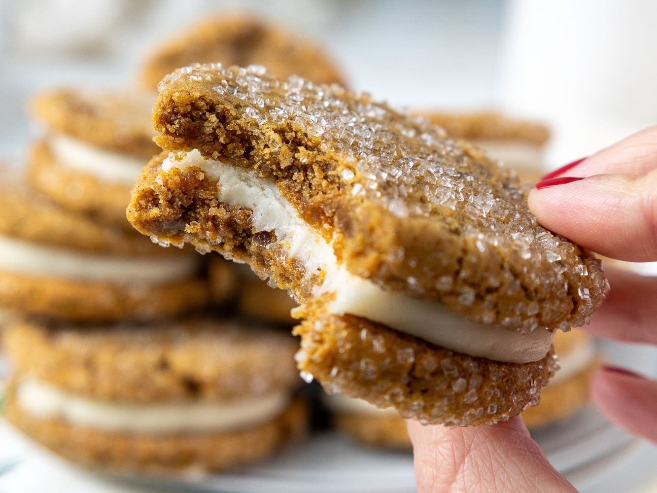 gingerbread-chocolate-sandwich-cookies-recipe