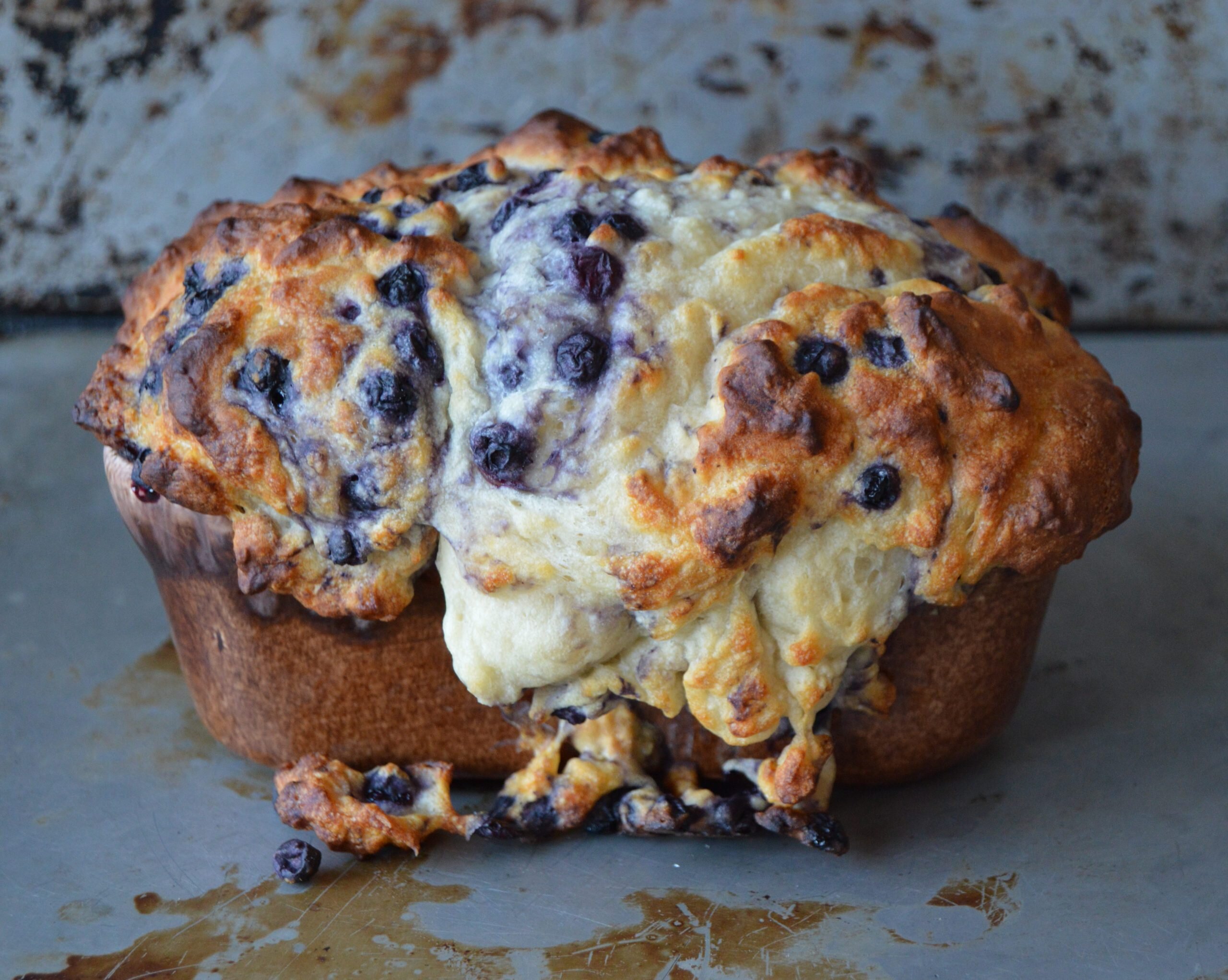 greek-yogurt-apple-blueberry-bread-recipe