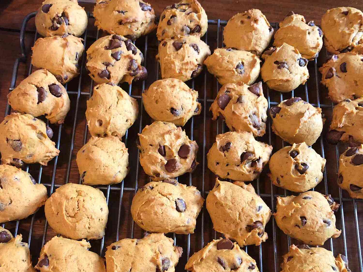 pumpkin-chocolate-chip-cookies-recipe