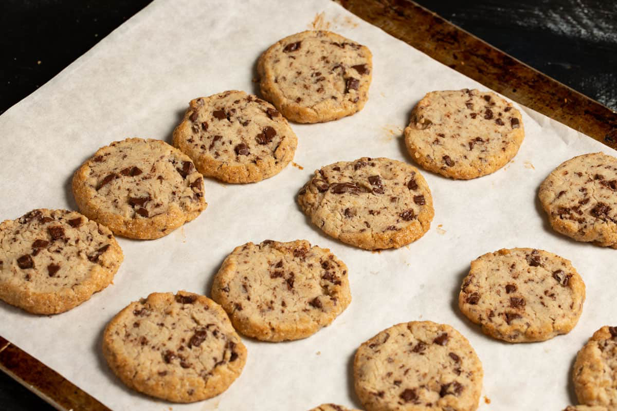 chocolate-chip-shortbread-recipe