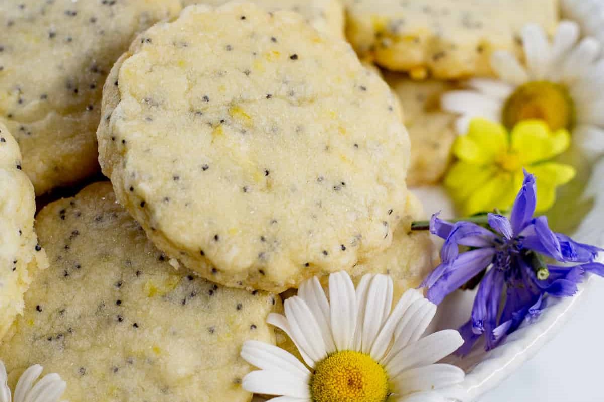 lemon-poppy-seed-shortbread-recipe