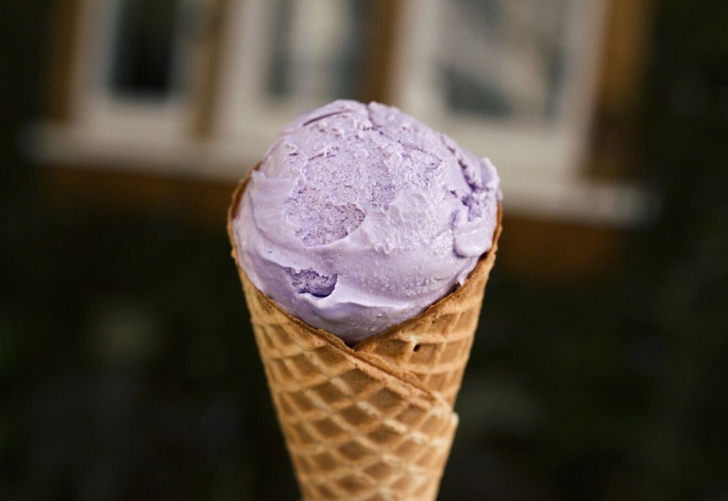 lavender-honey-ice-cream-recipe