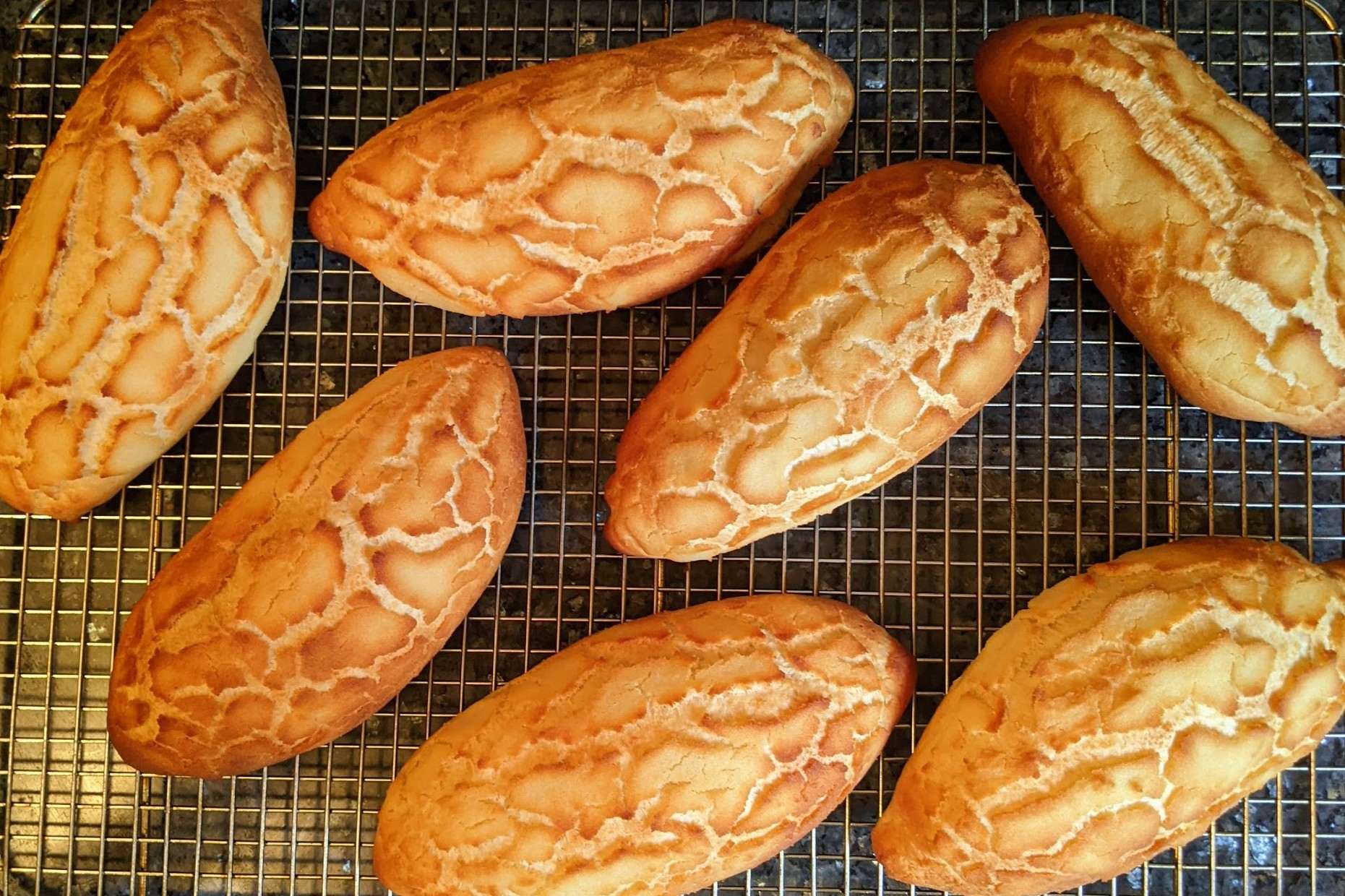 dutch-crunch-rolls-recipe