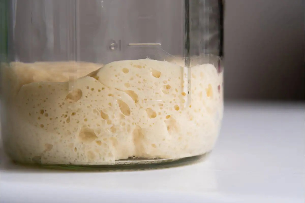 no-commercial-yeast-starter-recipe